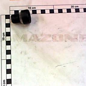 Zylinderschraube M20X20 (910763) Amazone