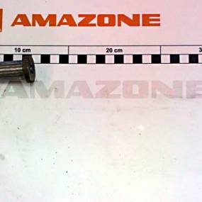 Zapfen (942895) Amazone