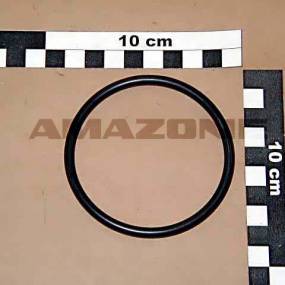 O-Ring    74,63X5,33 (Fc308) Amazone