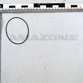 O-Ring    38,00X1,00 (Fc474) Amazone