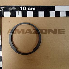 Ring (Y6176809) Amazone