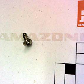 Li-Fl-Shr  5X12  Tx20  A2 (Dd718) Amazone