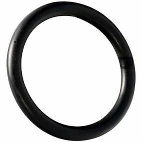 O-Ring (Fc261)  Amazone