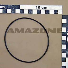 O-Ring   101,27X2,62 (Fc272) Amazone