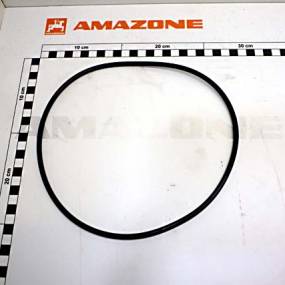 O-Ring   202,57X5,33 (Fc539) Amazone