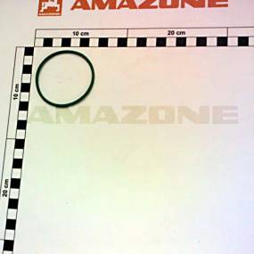 O-Ring   56,82X2,62 (Yy00749) Amazone