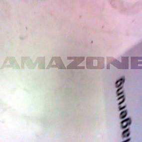 Winkel (02/K5) #0A (933160) Amazone