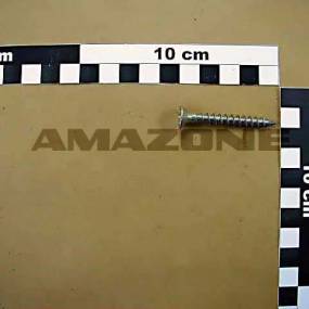 Spanplattenschraube 6,0X50  A2 (Dd434) Amazone