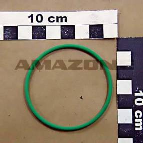 O-Ring (Fc302)  Amazone