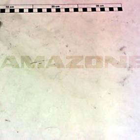 Spannstift Iso 8752  5X 24  St (Di027) Amazone