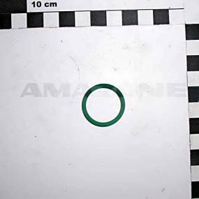 O-Ring    22,22X2,62       Fkm (Fc195) Amazone