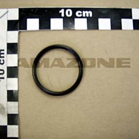 O-Ring (Y6022401) Amazone