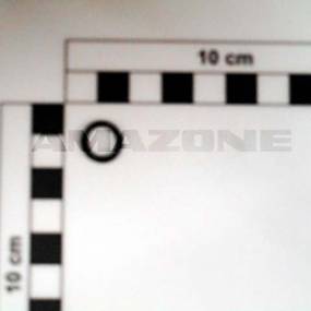 O-Ring     9,00X2,00 (Fc511) Amazone