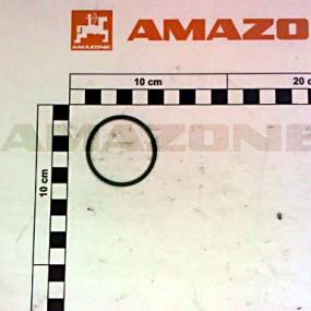 O-Ring    40,00X2,50 (Y0256792300) Amazone