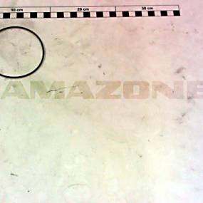 O-Ring 80,00X2,00 (0290600)  Amazone