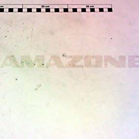 Kupplungsstift (3374100) Amazone