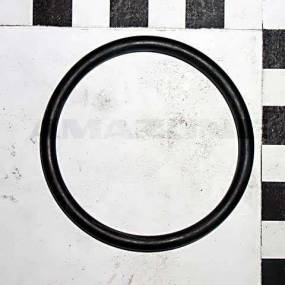 O-Ring    48,00X4,00 (Fc247) Amazone