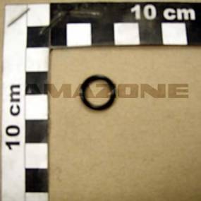 O-Ring 11,0X2,00 (Y100247510) Amazone