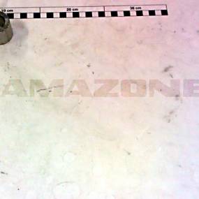 Sicherungsring (B10) (78201081) Amazone