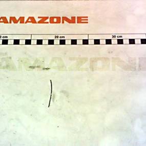 Spannstift 14X32 (Di215) Amazone