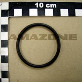 O-Ring (Y6022397) Amazone