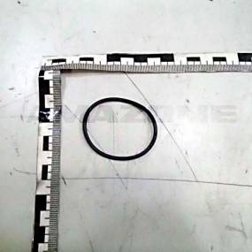 O-Ring    44,00X2,50 (Fc505) Amazone