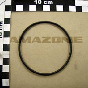 O-Ring 75,00X3,00 (0248600)  Amazone