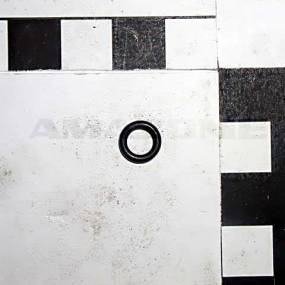 O-Ring     5,00X1,50 (Fc100) Amazone