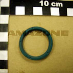 Dichtring Ina (Cd003) Amazone