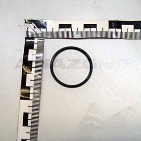 O-Ring    29,00X2,00 (Fc463) Amazone