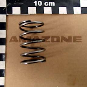 Feder (Y36714440000) Amazone