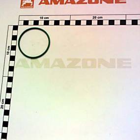 O-Ring   55,2X2,6 (Yy00751) Amazone