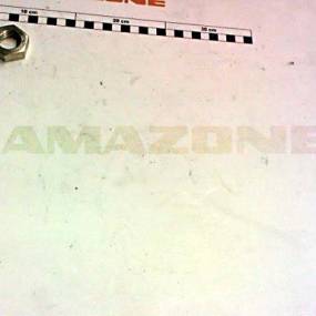 6Kt-Mu 439-2 M24Lh  05 (B01) # (De453) Amazone