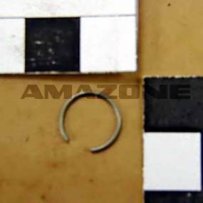 Spreng-Rg 9926 10 1.4310 (Dl348) Amazone