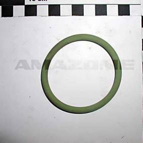 O-Ring (Fc172)  Amazone