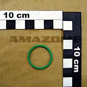 O-Ring    22,00X2,00 (Fc009) Amazone