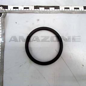 O-Ring    58,00X6,00 (Fc413) Amazone