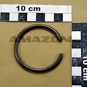 Spreng-Ring 50X4 Fst (917698) Amazone