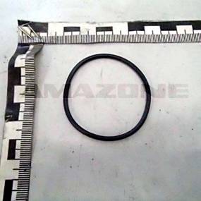 O-Ring    45,00X2,50 (Fc455) Amazone