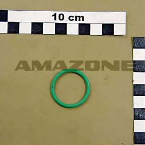 O-Ring (Fc124)  Amazone