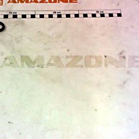 Nutring (Fc265) Amazone