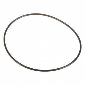 O-Ring (14483280) Case