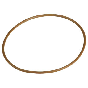 O-Ring (87304282)  Case