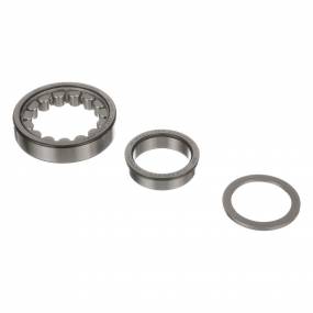 Zylinderrollenlager (84062061) Case