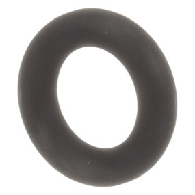 O-Ring (87272505) Case