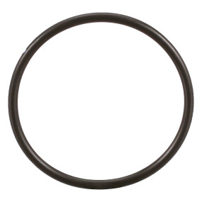 O-Ring (86637769)  Case