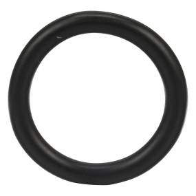 O-Ring (76081104) Case