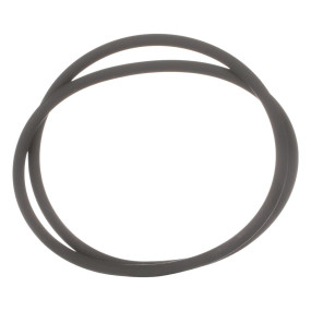 O-Ring (87603554) Case