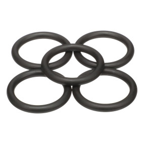 O-Ring (K262773)  Case