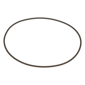 O-Ring (87037455)  Case